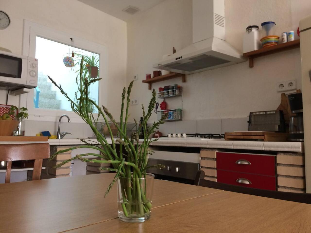 Casa Taller Penelles Penellas 외부 사진